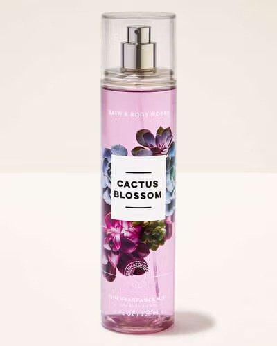 cactus spray